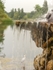 Italian Gardens, Kensington Gardens