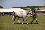 SBM_17769