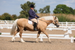 SBM_04034
