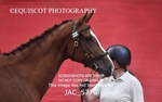 JAC_5770