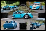 Steve Marquis_Canvas Montage