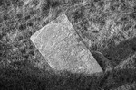 ACP02054-2