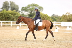 SBM_002015