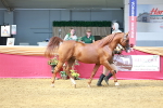 SBM_02264