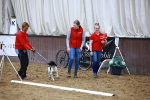 SBM_006329