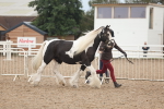 SBM_08414