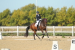 SBM_000710