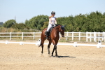 SBM_001731