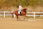 SBM_008787