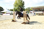 SBM_39377