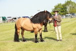 SBM_00862