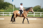 SBM_007855