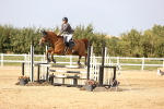 SBM_03833