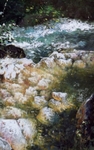 deluge