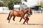 SBM_04543