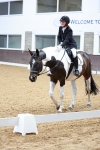 SBM_003578