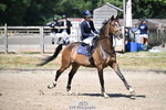 260705A-103237-19029