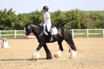 SBM_007837