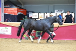 SBM_02983