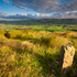 Longridge Fell II