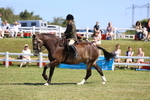 3E7A6977