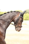 SBM_001921