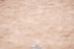 240505A-131446-06012
