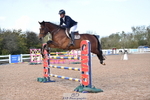 Cls 5 Foxhunter & 1.20m Open portfolio