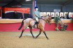 SBM_09523