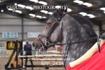 BPP_2434