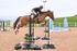 BPP_3776