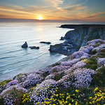 Cornwall - North Coast 1 portfolio
