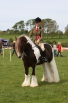 Morecambe Bay Riding Club May 2012 - Ridden portfolio