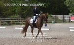 BPP_6315