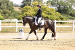 SBM_003641