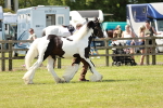 SBM_04309
