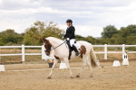 SBM_006571