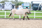 SBM_03894