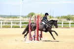 SBM_007337