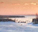 DAWN, MARCH 2015 - INNER BAY, LONG POINT