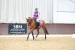 SBM_009041