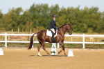 SBM_010480
