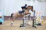 Class 22 - Joshua Jones UK Winter Discovery Championship Qualifier 1.00m portfolio