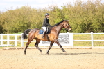 SBM_003644