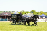 SBM_06636