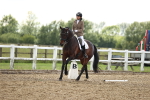 SBM_002586