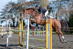Senior Showjumping_10-11-2019-45