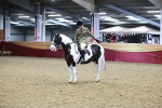 SBM_09113