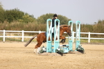 SBM_001203