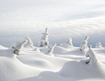 Winter - 26